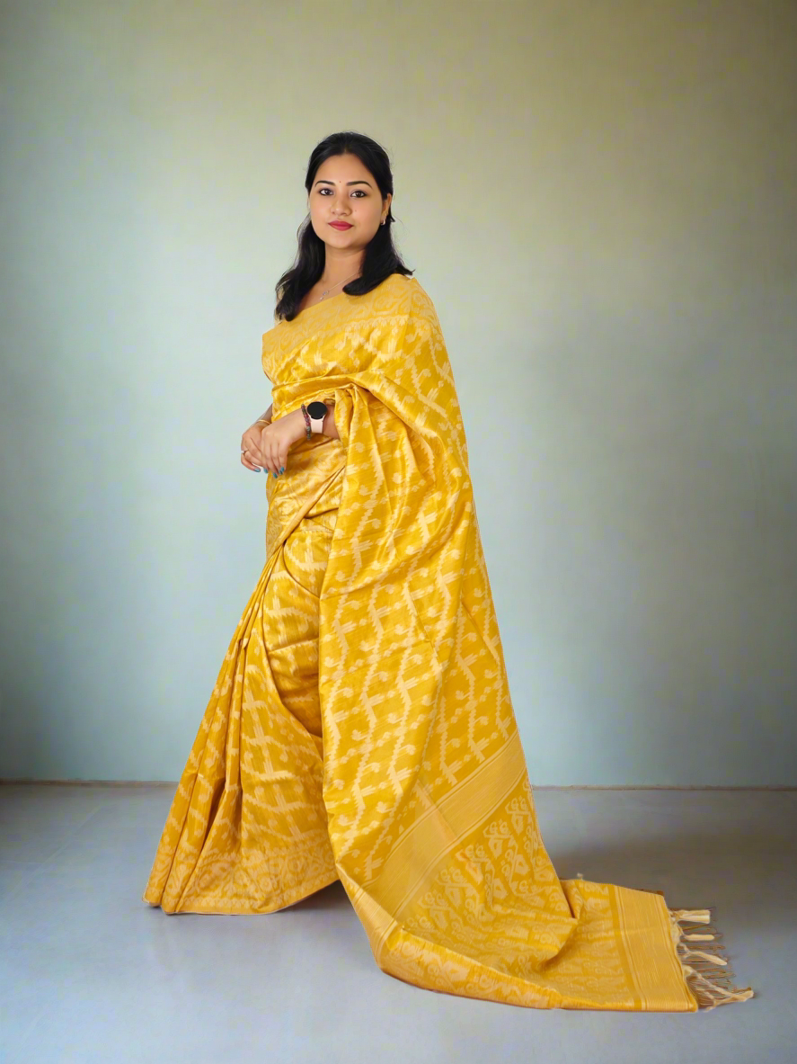 Silken Elegance Banglori Raw Silk