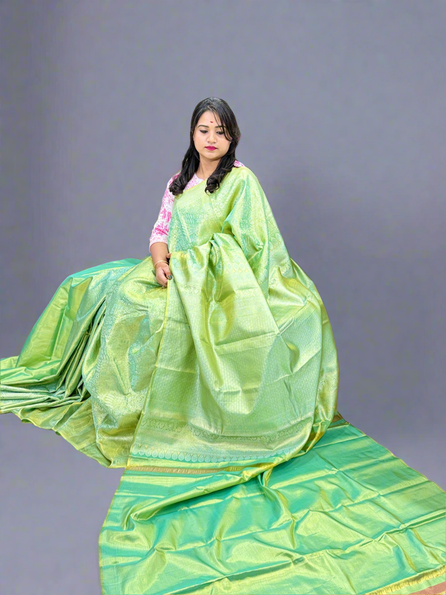 Pure Silk Borderless Saree in Light Green with Zari Weaving – Handloom Wedding Collection