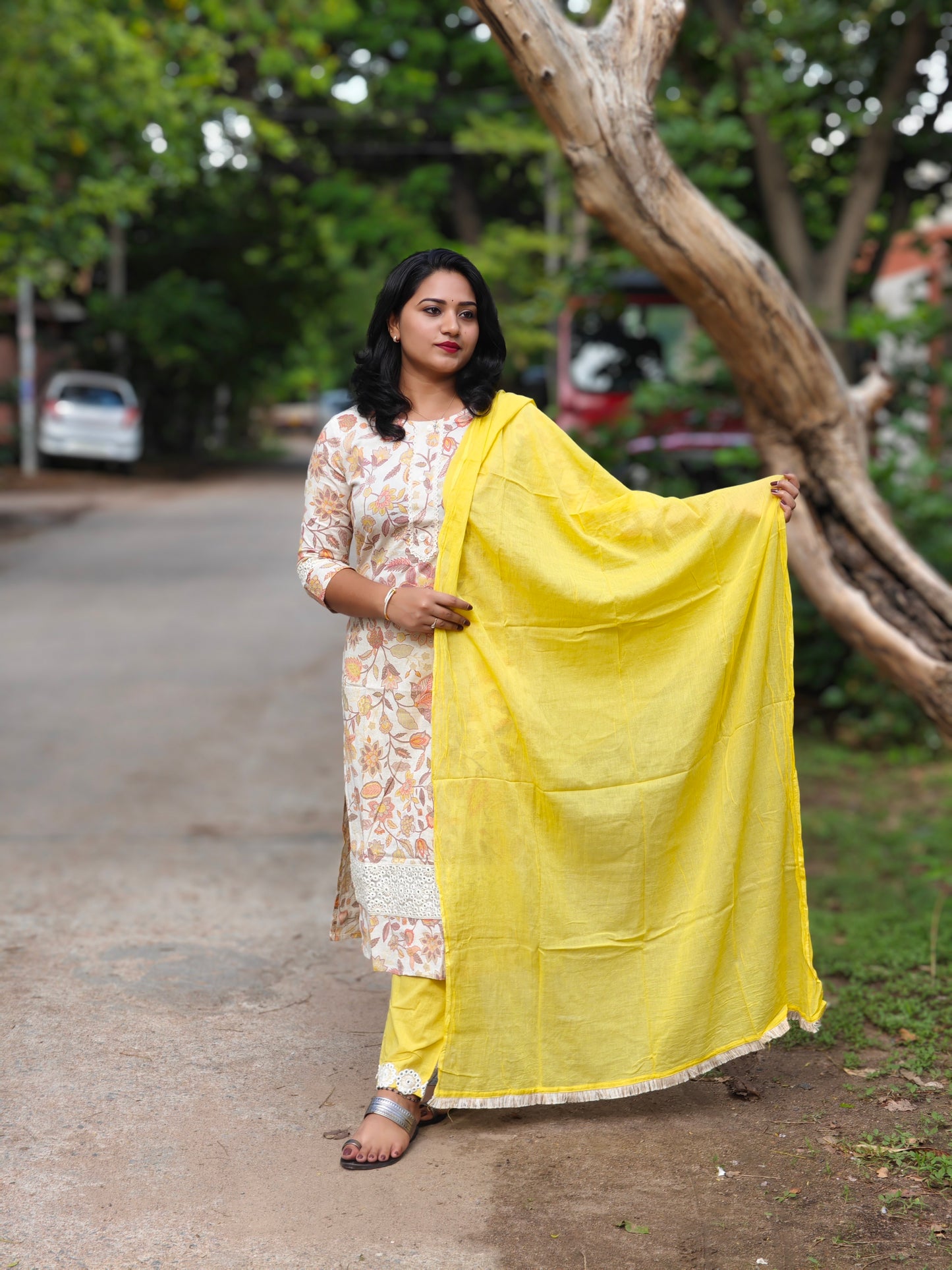 Chic Handloom Elegance: Mani's Fashion Exclusive