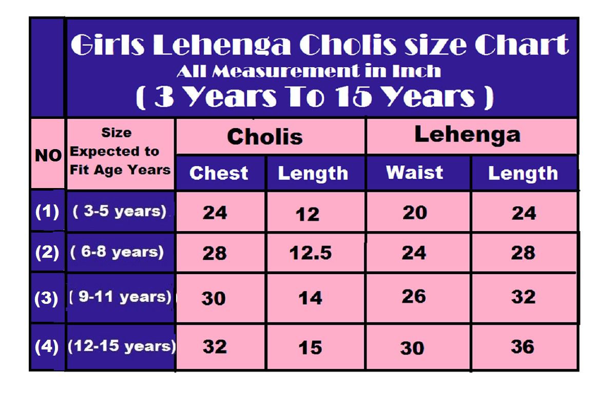 Kids Georgette Lehenga Choli Birthday Dress