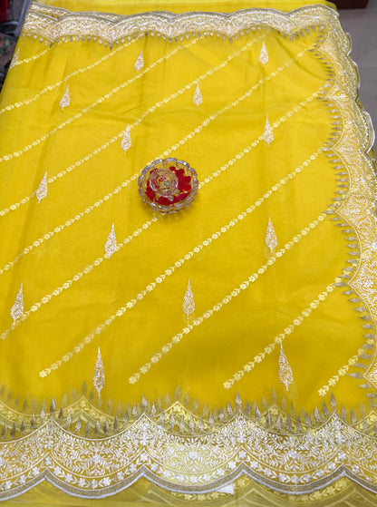 Banarasi Semi Organza Soft Saree with Embroidery Border and Blouse Design – Festive Wear