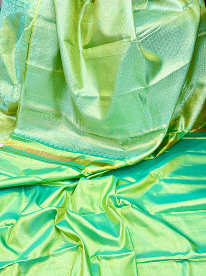 Pure Silk Borderless Saree in Light Green with Zari Weaving – Handloom Wedding Collection