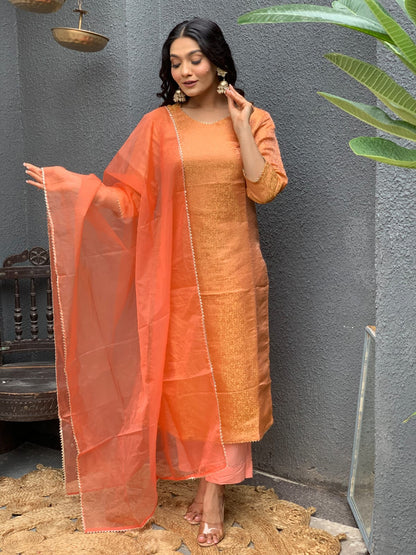 Brocade Banarasi Straight Pattern Suit