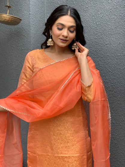 Brocade Banarasi Straight Pattern Suit