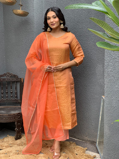 Brocade Banarasi Straight Pattern Suit